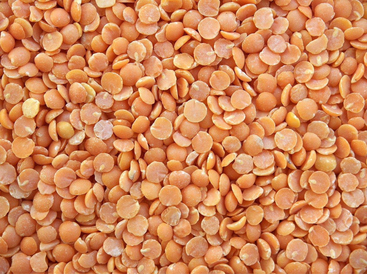 Close up to uncoked red lentils