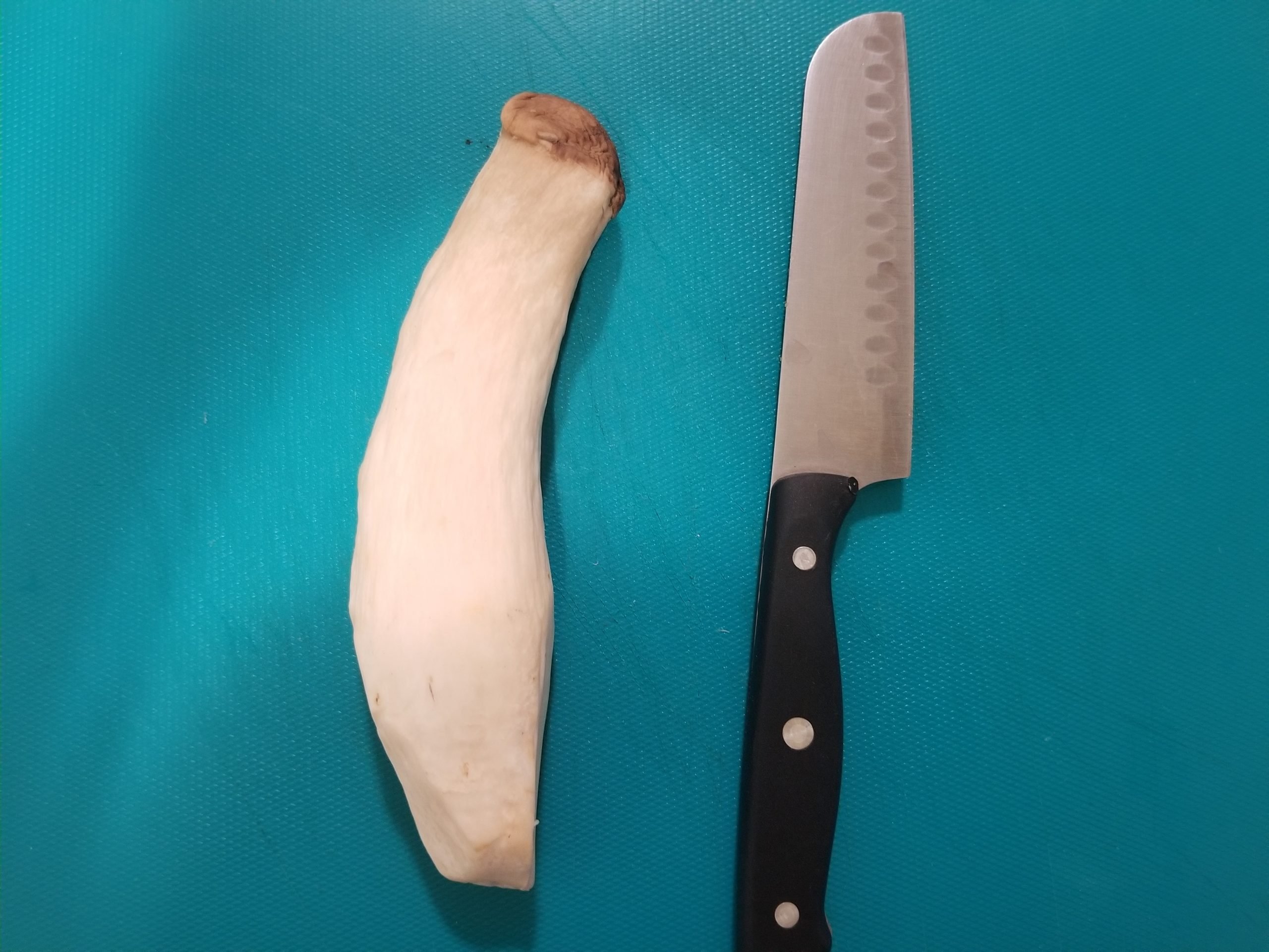 One whole king oyster mushroom with a knife 