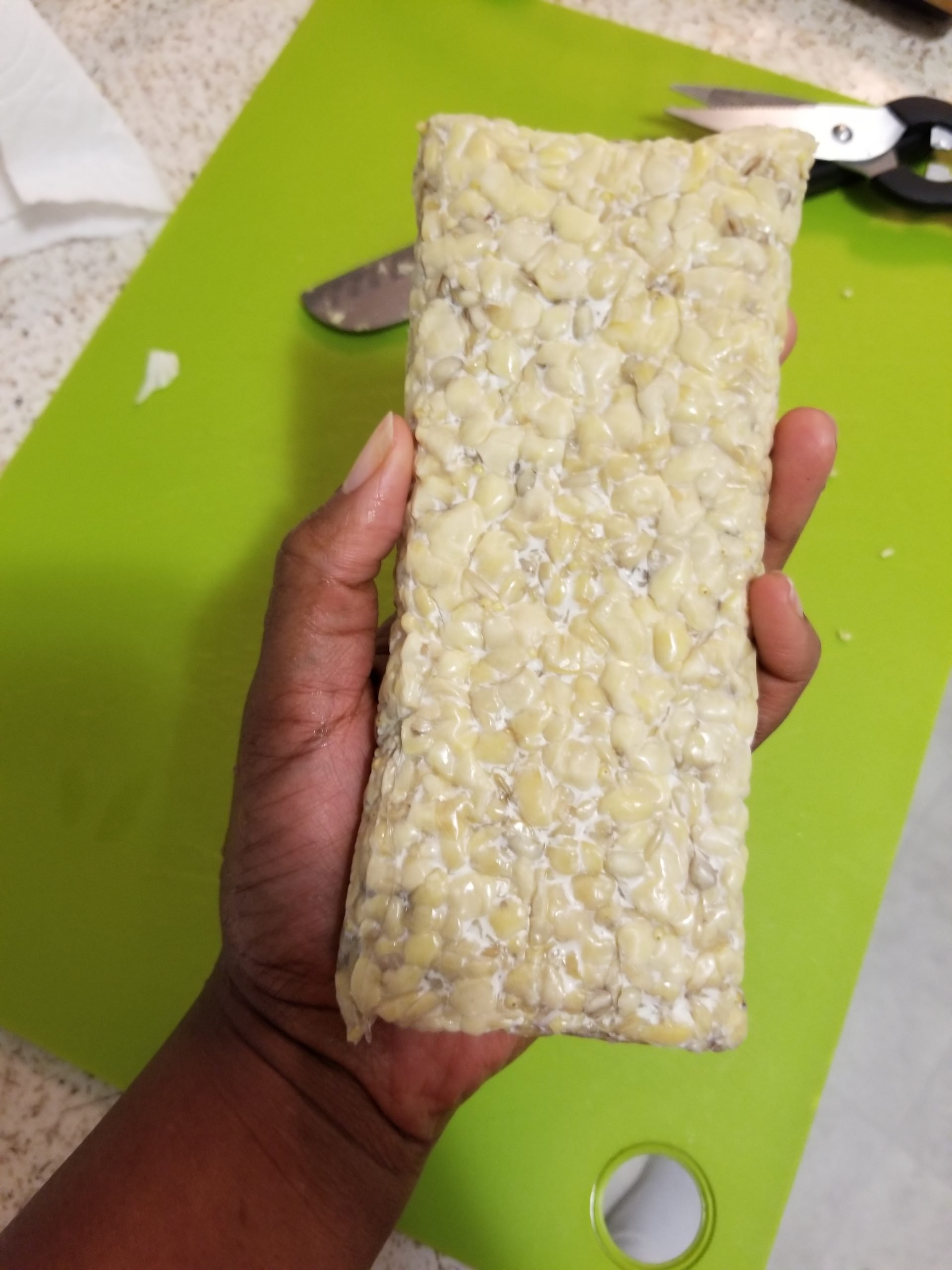 One large block of uncooked tempeh 