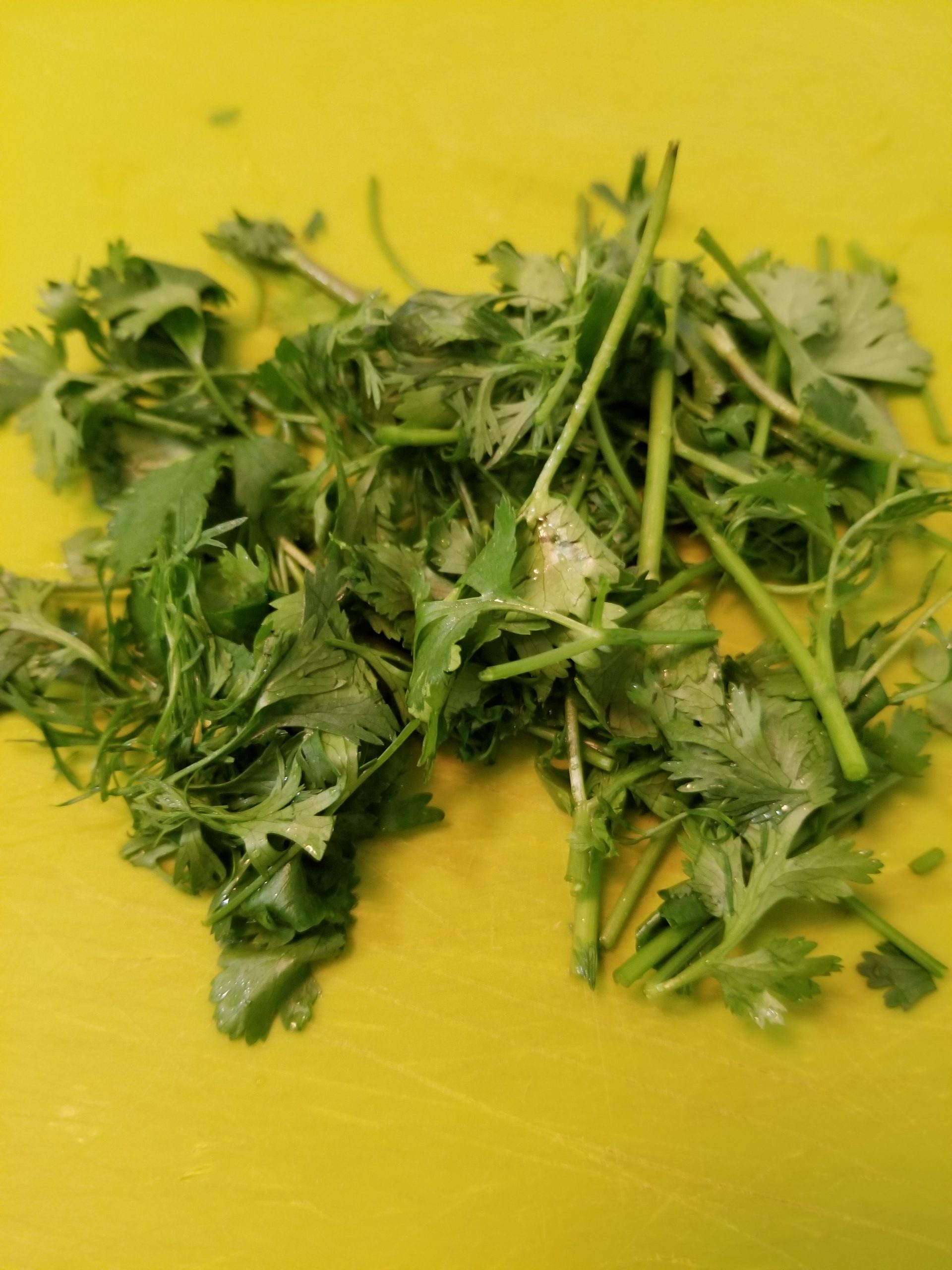 Roughly chopped cilantro on a chopping board 
