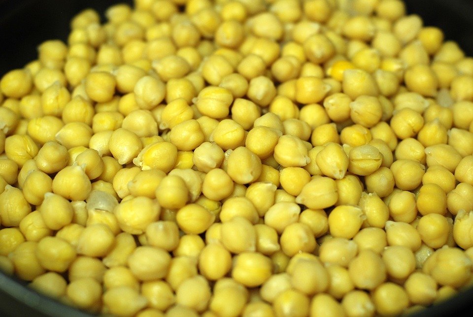 Close up of chickpeas