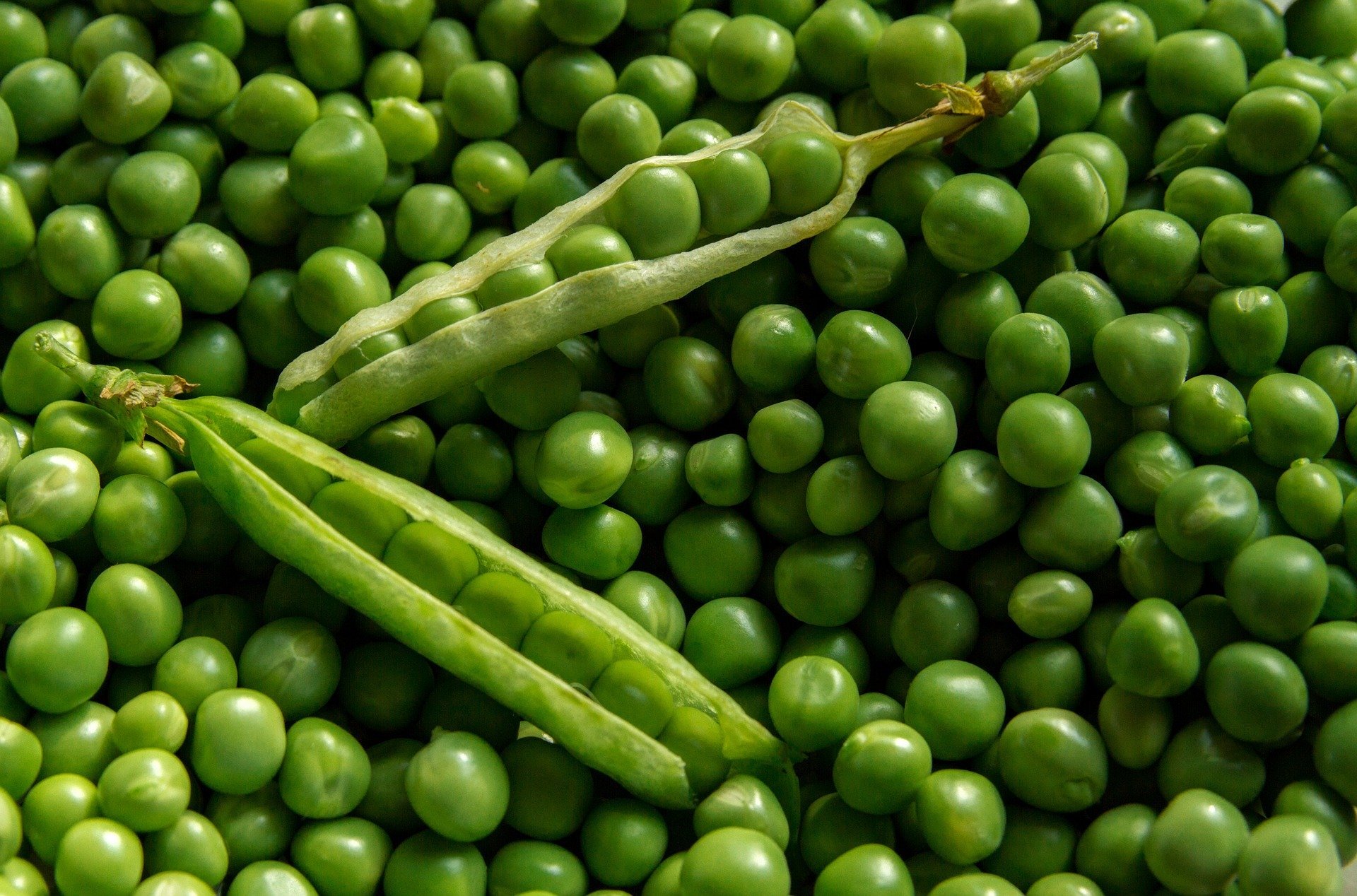 Close up of green peas