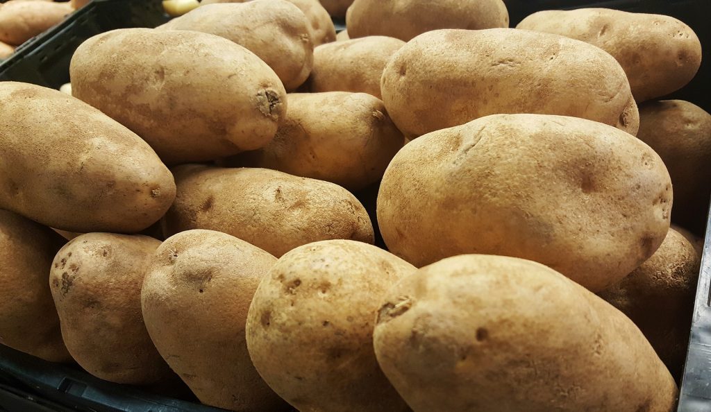 Close up to raw, russet potatoes