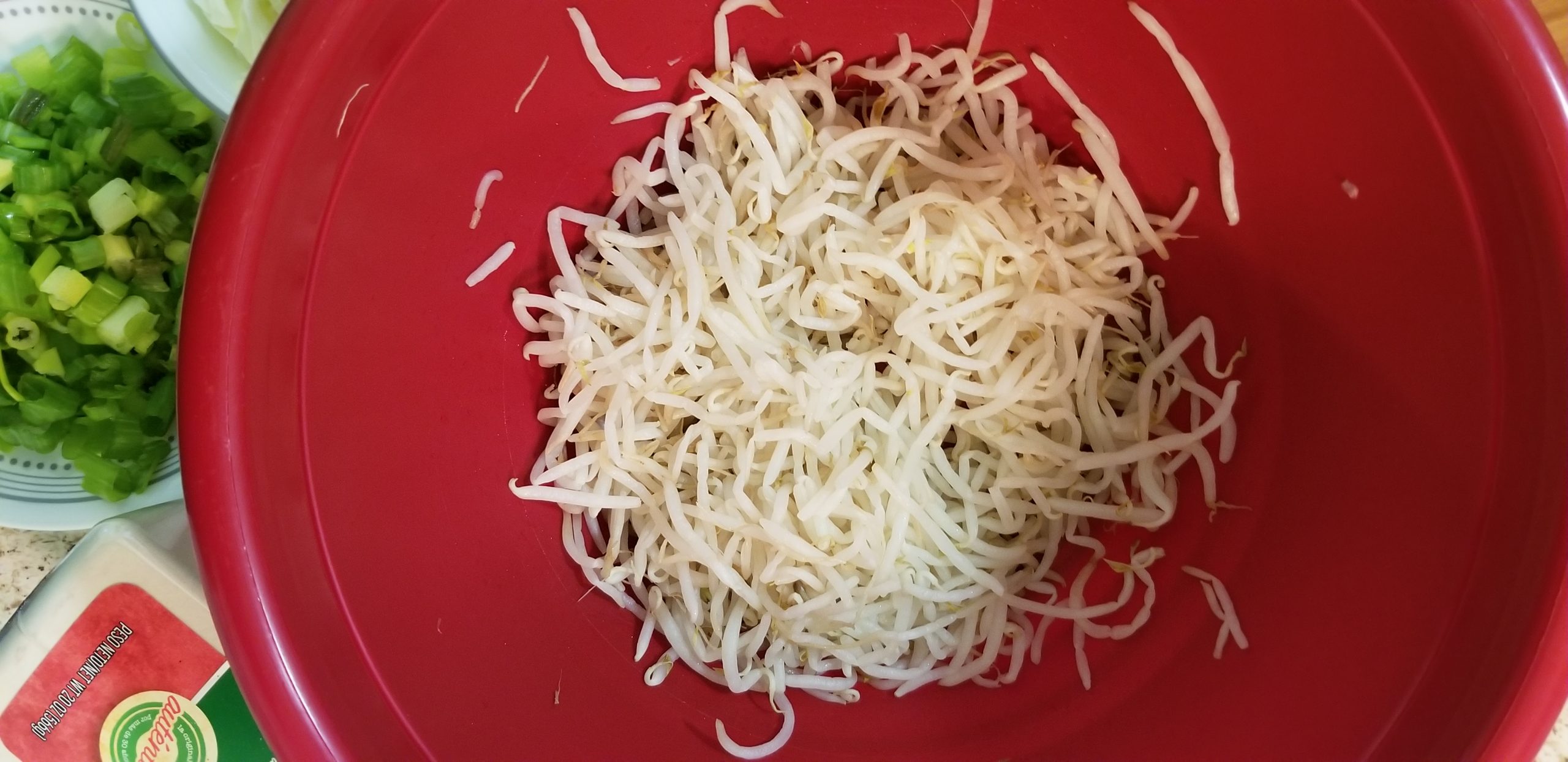 Raw mung bean sprouts in a large, red bowl