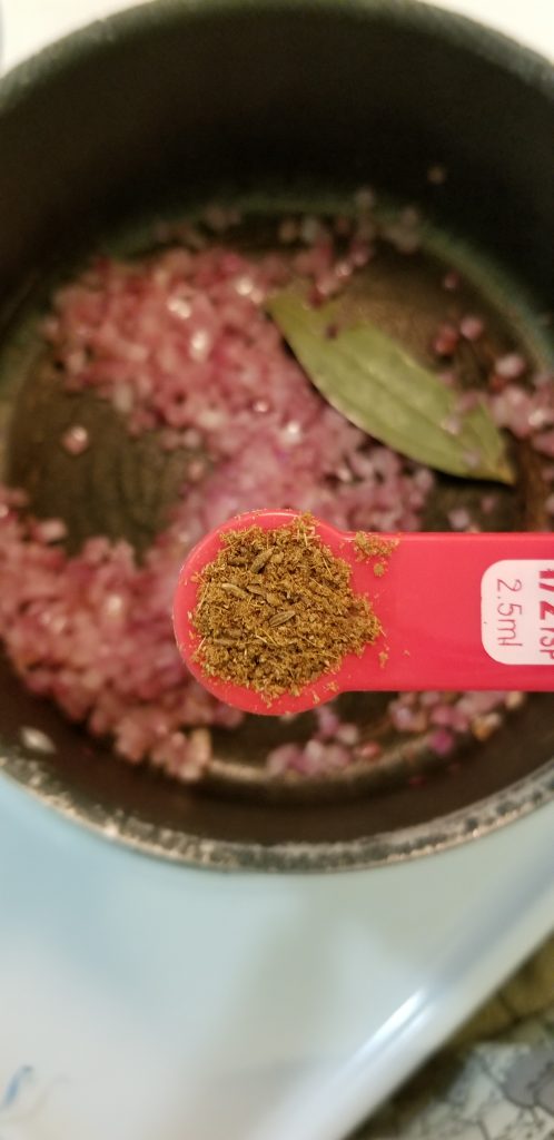 Cumin powder in a measuring spoon