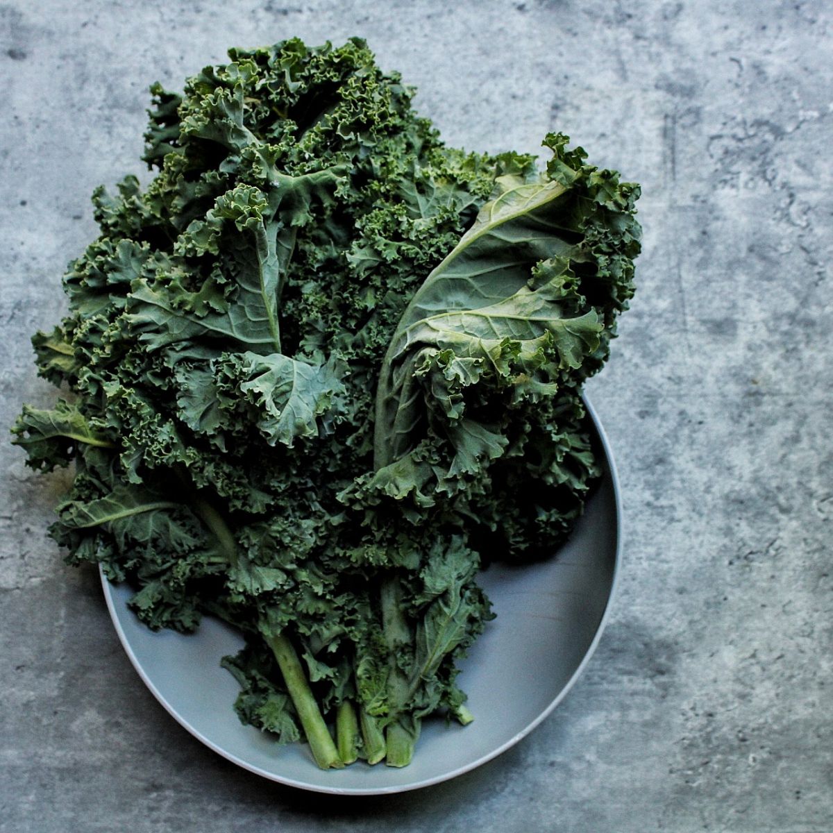 Raw, uncooked full kale with stem. 