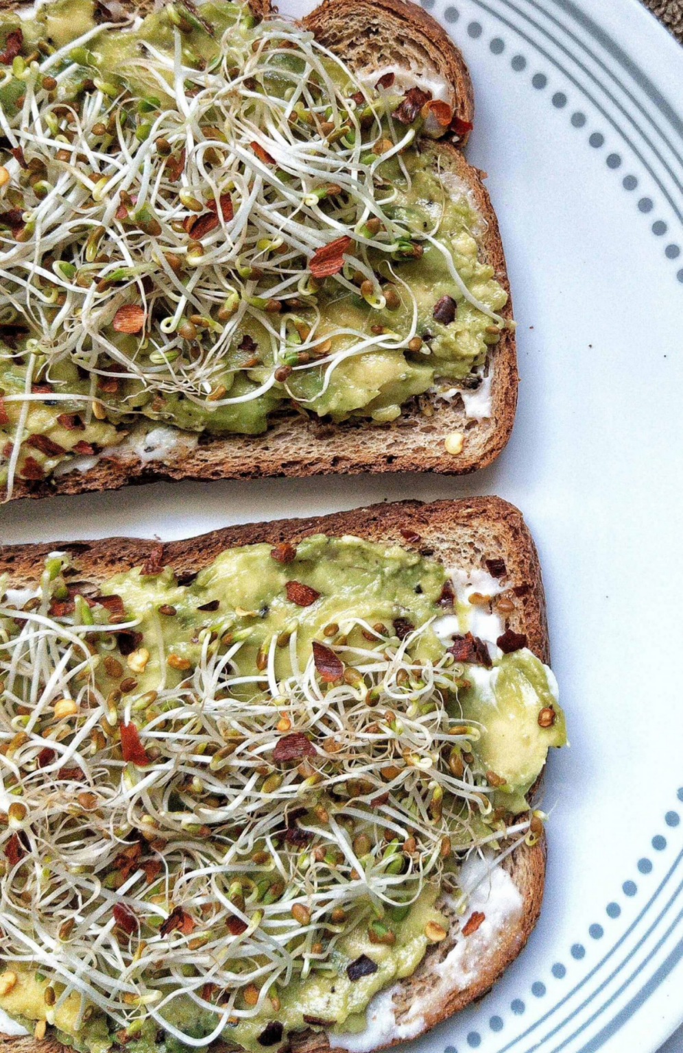 Two pieces of avocado toast with sprouts on top. 