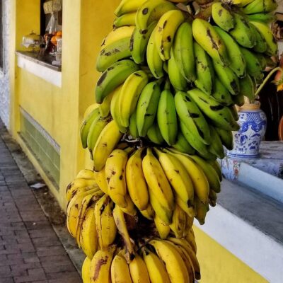 Green and yellow plantains.